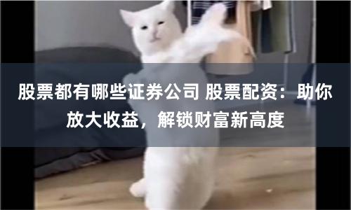 股票都有哪些证券公司 股票配资:助你放大收益,解锁财富新高度