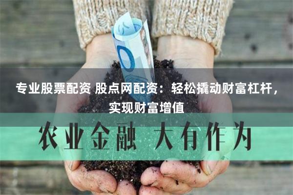 专业股票配资 股点网配资：轻松撬动财富杠杆，实现财富增值