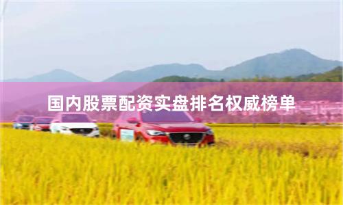 国内股票配资实盘排名权威榜单
