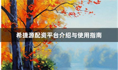 希捷源配资平台介绍与使用指南
