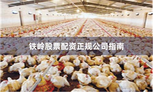 铁岭股票配资正规公司指南